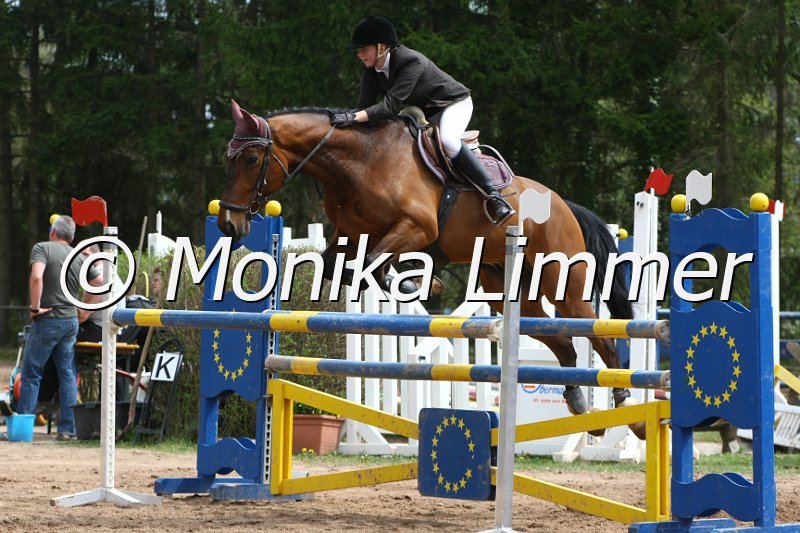 204M0070_Stardust Harry_Spring_L.JPG